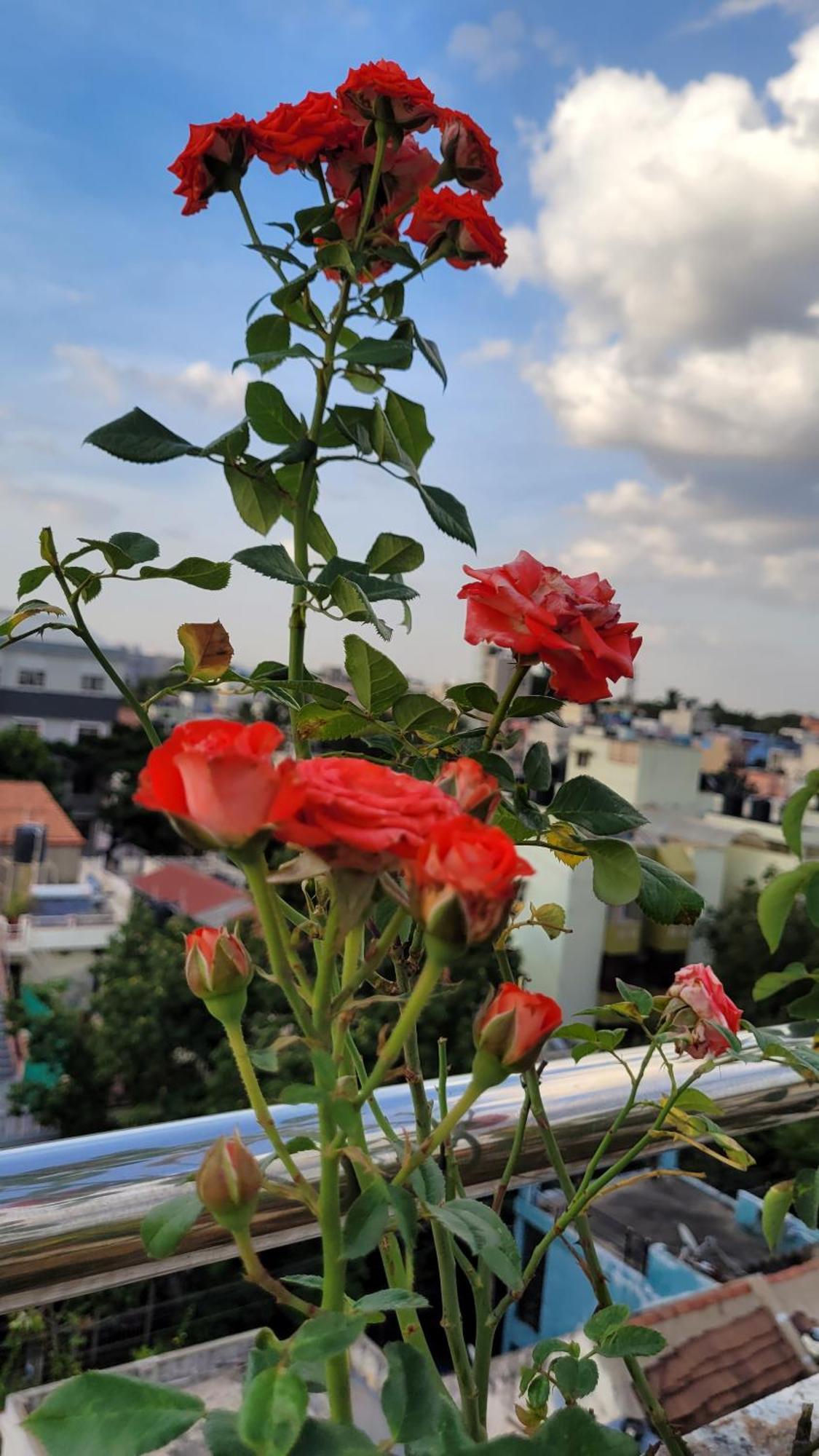 העיר בנגלור Rvr Home - Beautiful Rooms מראה חיצוני תמונה